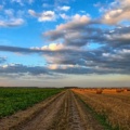 nature-213364_640.jpg