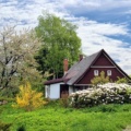 spring-2955582_640.jpg